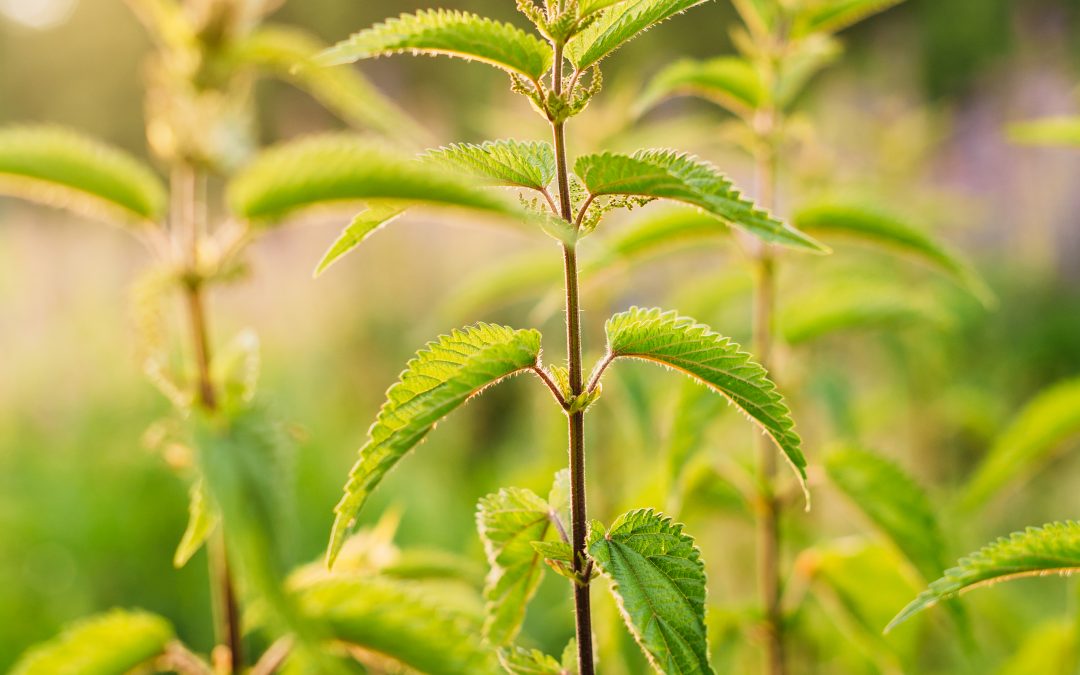 Best Season To Get A Mortgage